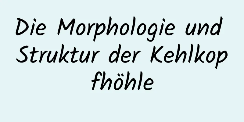Die Morphologie und Struktur der Kehlkopfhöhle
