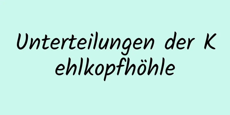 Unterteilungen der Kehlkopfhöhle