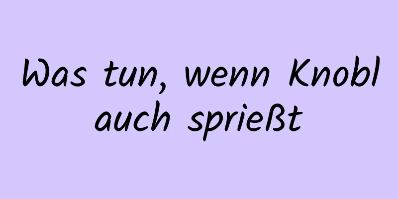 Was tun, wenn Knoblauch sprießt