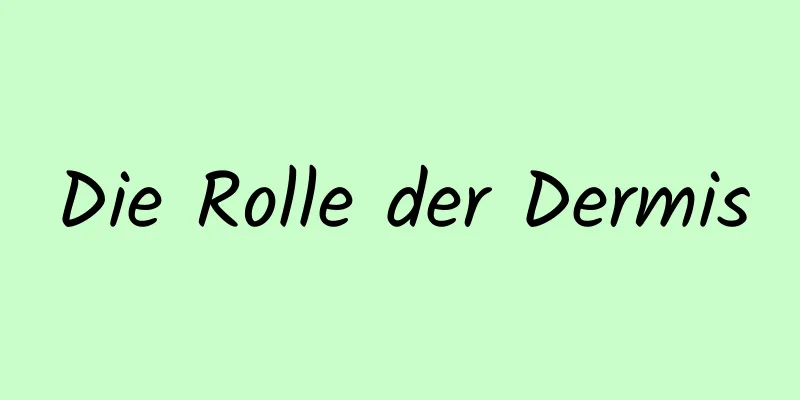 Die Rolle der Dermis