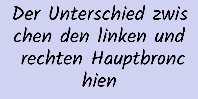 Der Unterschied zwischen den linken und rechten Hauptbronchien