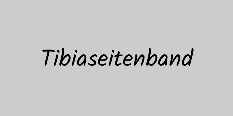 Tibiaseitenband