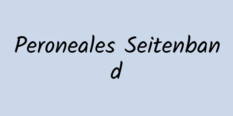 Peroneales Seitenband