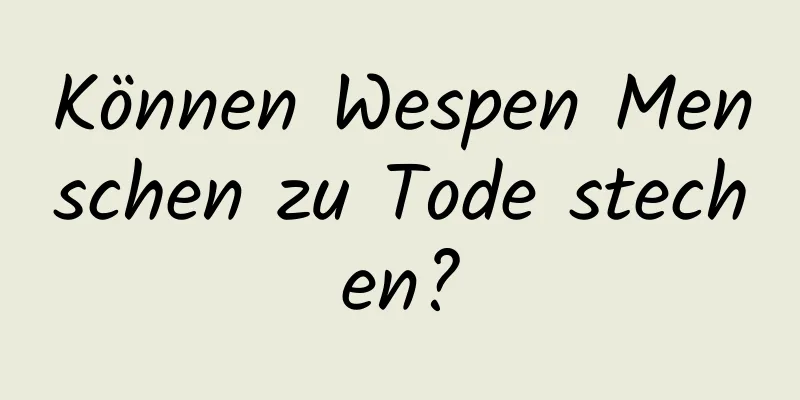 Können Wespen Menschen zu Tode stechen?