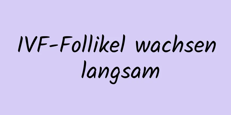 IVF-Follikel wachsen langsam