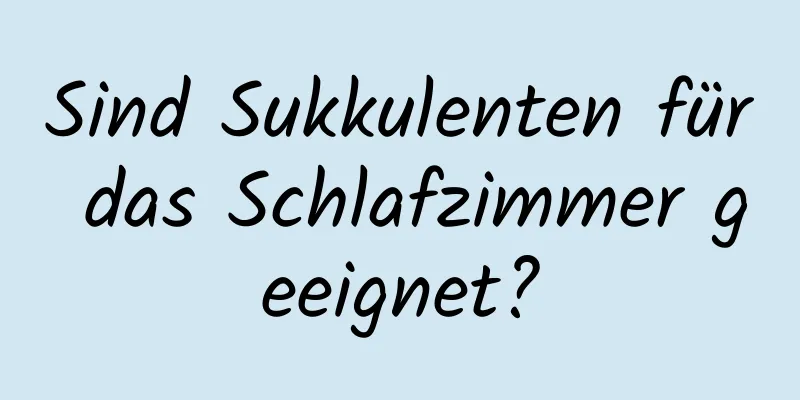 Sind Sukkulenten für das Schlafzimmer geeignet?