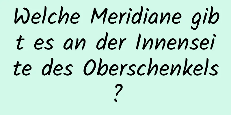 Welche Meridiane gibt es an der Innenseite des Oberschenkels?