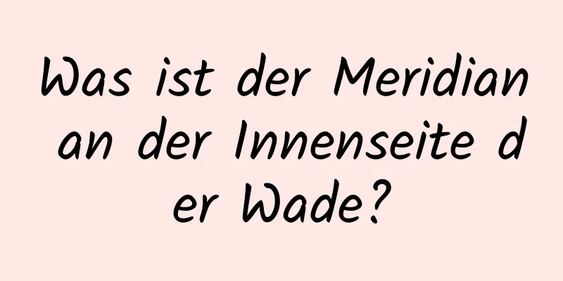 Was ist der Meridian an der Innenseite der Wade?