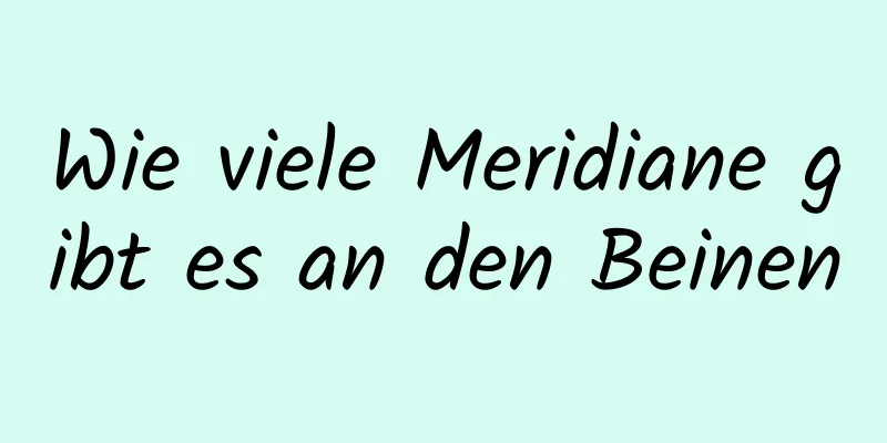 Wie viele Meridiane gibt es an den Beinen