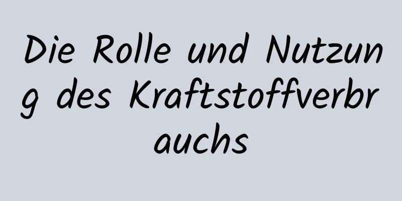 Die Rolle und Nutzung des Kraftstoffverbrauchs