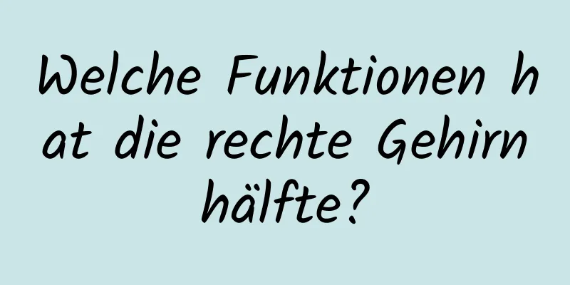 Welche Funktionen hat die rechte Gehirnhälfte?