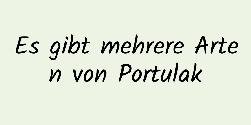 Es gibt mehrere Arten von Portulak