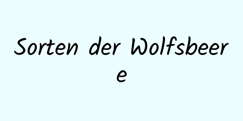 Sorten der Wolfsbeere