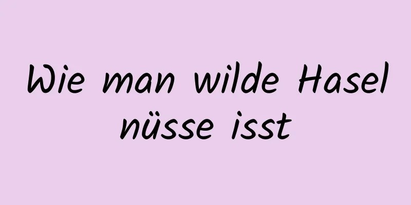 Wie man wilde Haselnüsse isst