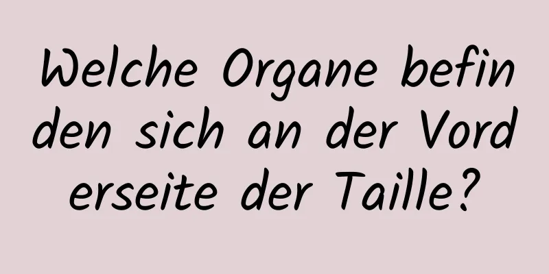 Welche Organe befinden sich an der Vorderseite der Taille?
