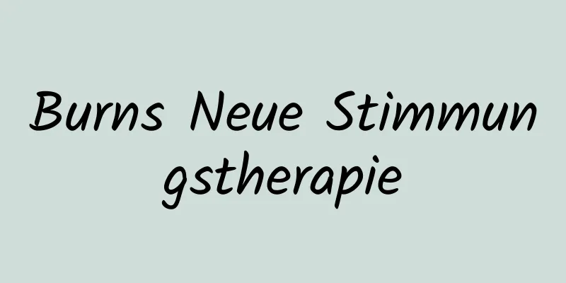 Burns Neue Stimmungstherapie