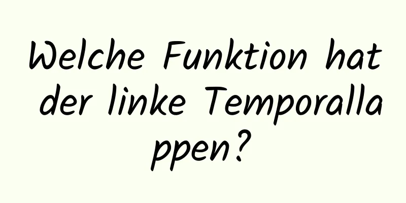 Welche Funktion hat der linke Temporallappen?