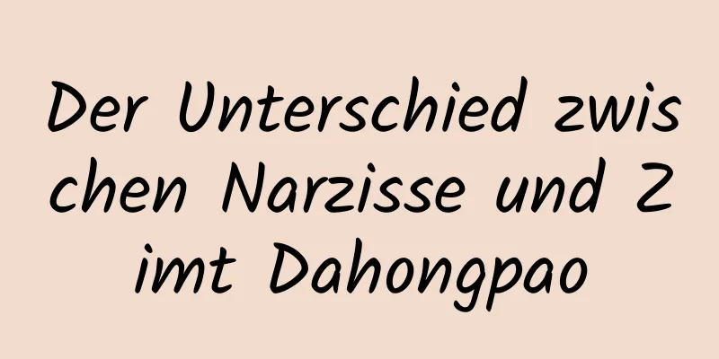 Der Unterschied zwischen Narzisse und Zimt Dahongpao