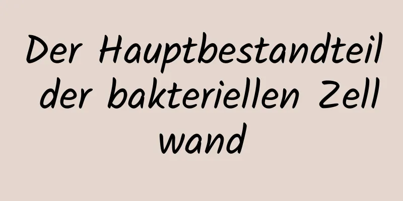 Der Hauptbestandteil der bakteriellen Zellwand