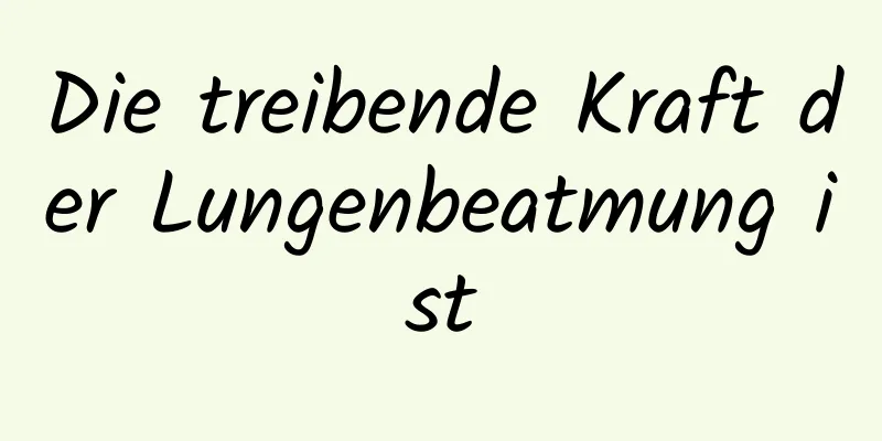 Die treibende Kraft der Lungenbeatmung ist
