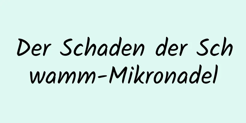 Der Schaden der Schwamm-Mikronadel