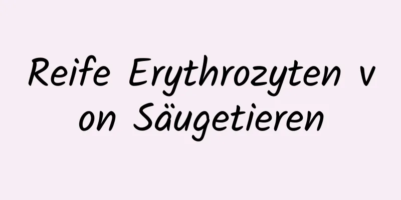 Reife Erythrozyten von Säugetieren