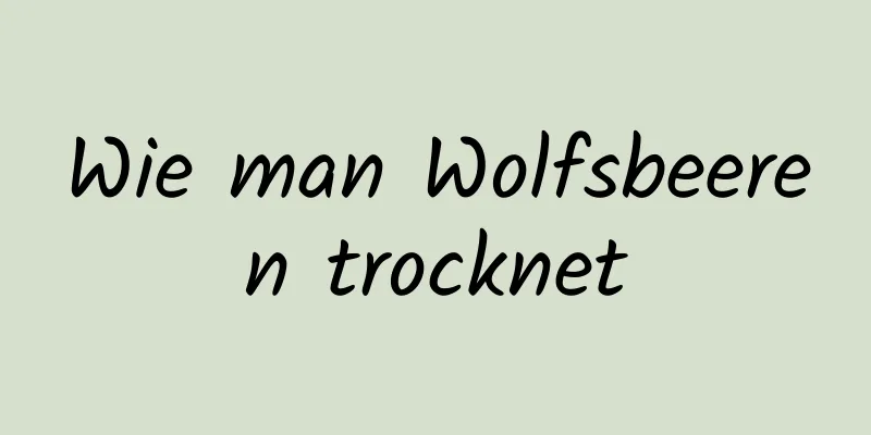Wie man Wolfsbeeren trocknet
