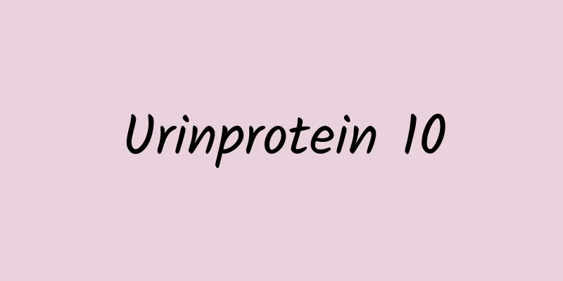 Urinprotein 10