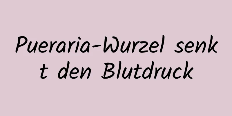 Pueraria-Wurzel senkt den Blutdruck