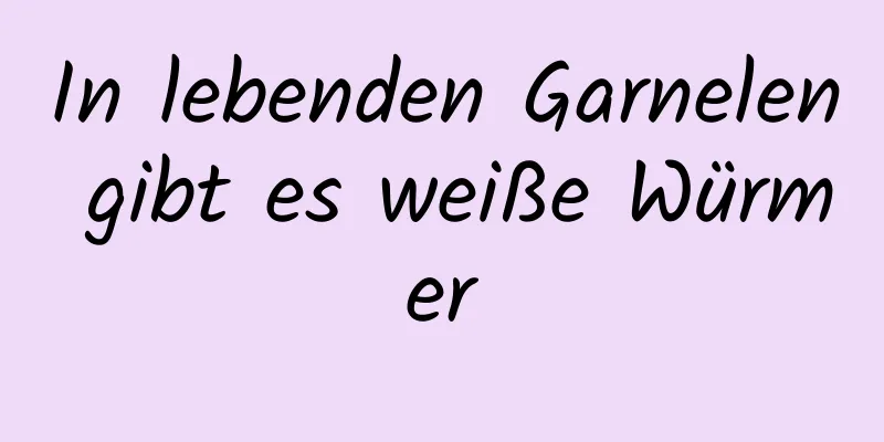 In lebenden Garnelen gibt es weiße Würmer