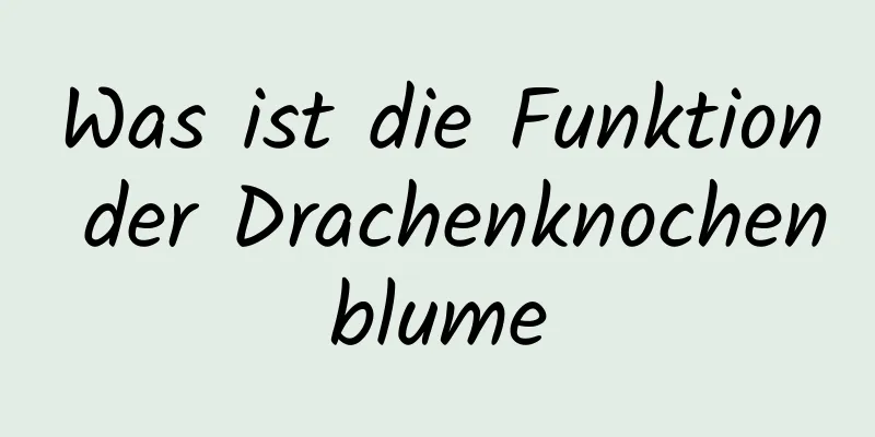 Was ist die Funktion der Drachenknochenblume