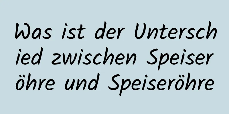 Was ist der Unterschied zwischen Speiseröhre und Speiseröhre