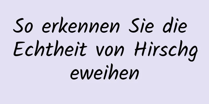 So erkennen Sie die Echtheit von Hirschgeweihen