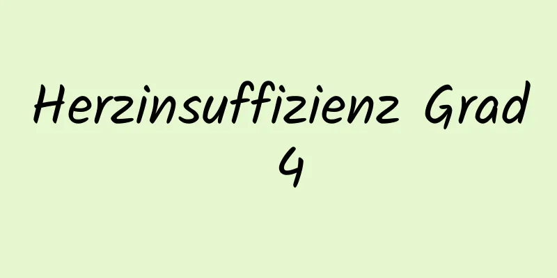 Herzinsuffizienz Grad 4
