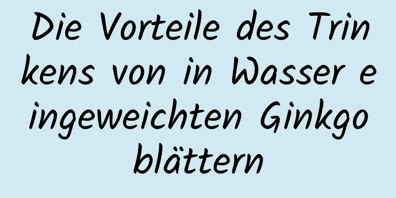 Die Vorteile des Trinkens von in Wasser eingeweichten Ginkgoblättern