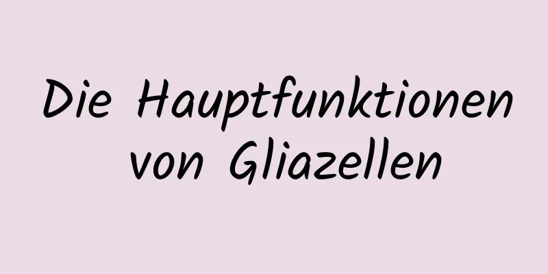 Die Hauptfunktionen von Gliazellen