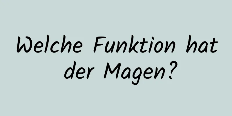 Welche Funktion hat der Magen?