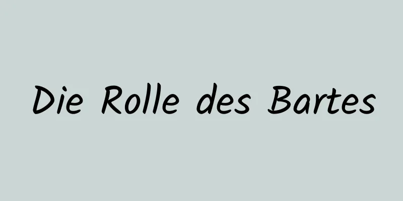 Die Rolle des Bartes
