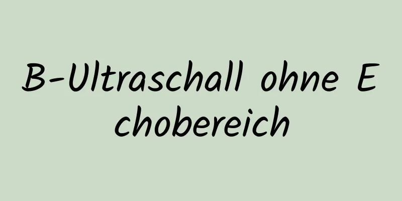 B-Ultraschall ohne Echobereich