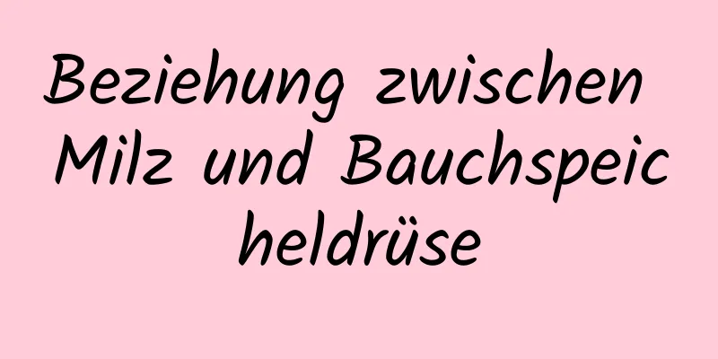 Beziehung zwischen Milz und Bauchspeicheldrüse
