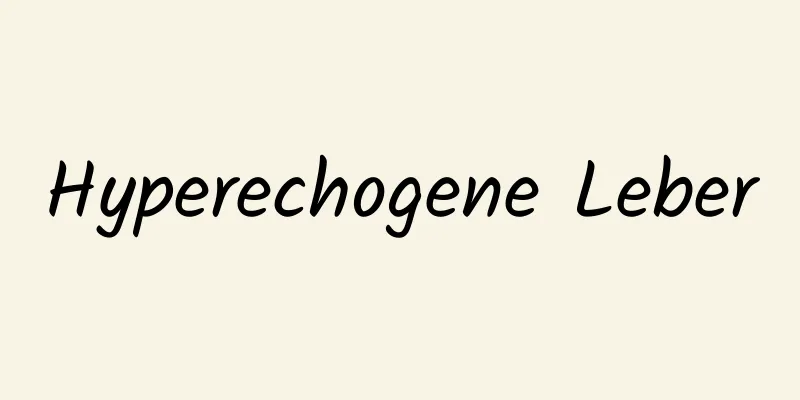 Hyperechogene Leber