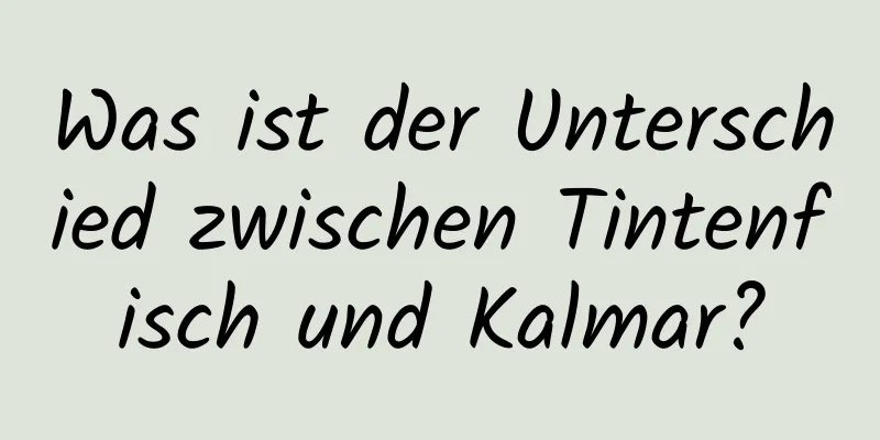 Was ist der Unterschied zwischen Tintenfisch und Kalmar?
