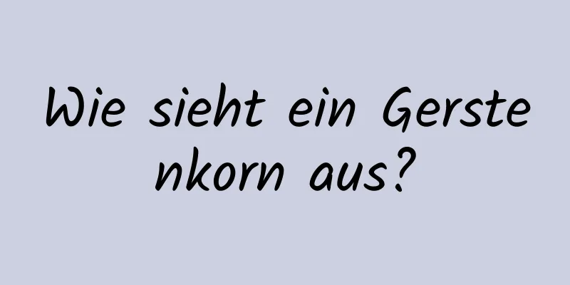 Wie sieht ein Gerstenkorn aus?