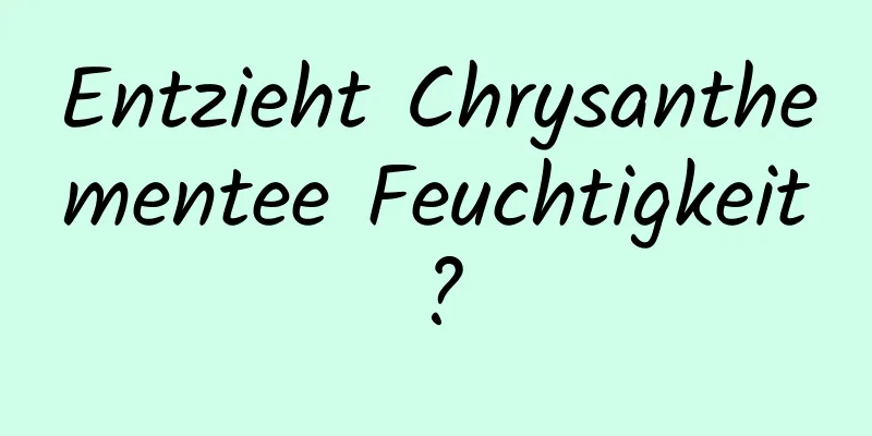 Entzieht Chrysanthementee Feuchtigkeit?