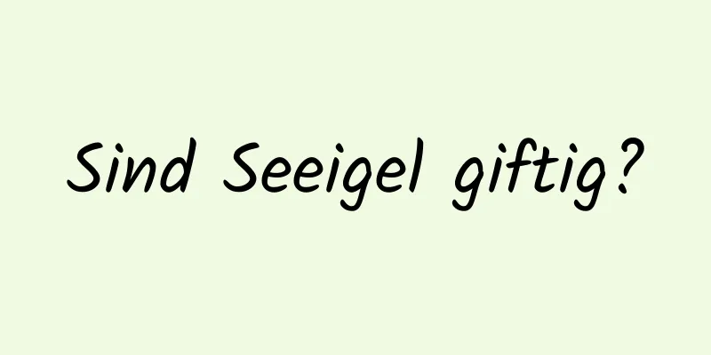 Sind Seeigel giftig?