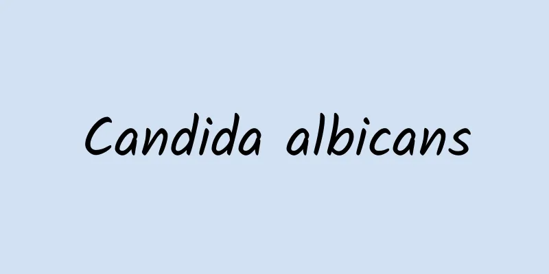 Candida albicans