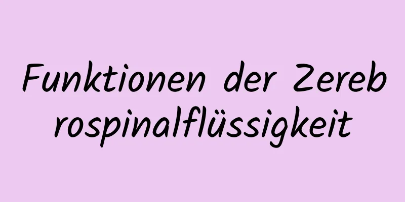 Funktionen der Zerebrospinalflüssigkeit