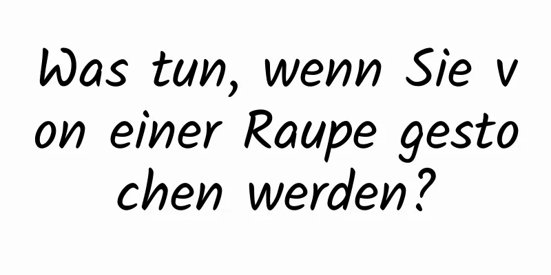 Was tun, wenn Sie von einer Raupe gestochen werden?