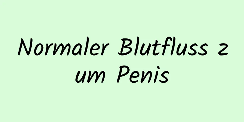 Normaler Blutfluss zum Penis