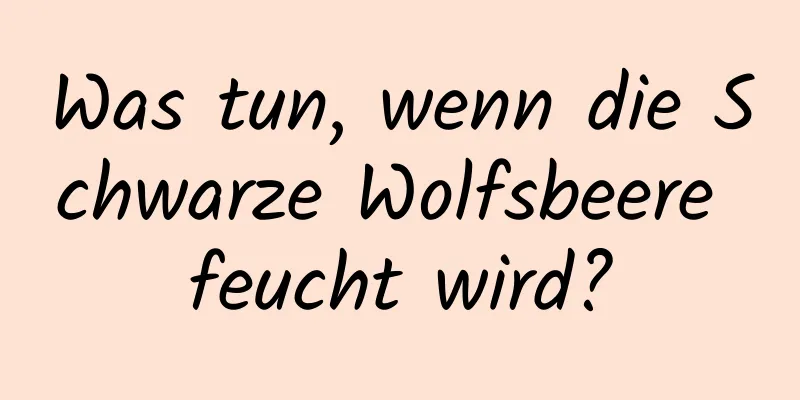 Was tun, wenn die Schwarze Wolfsbeere feucht wird?